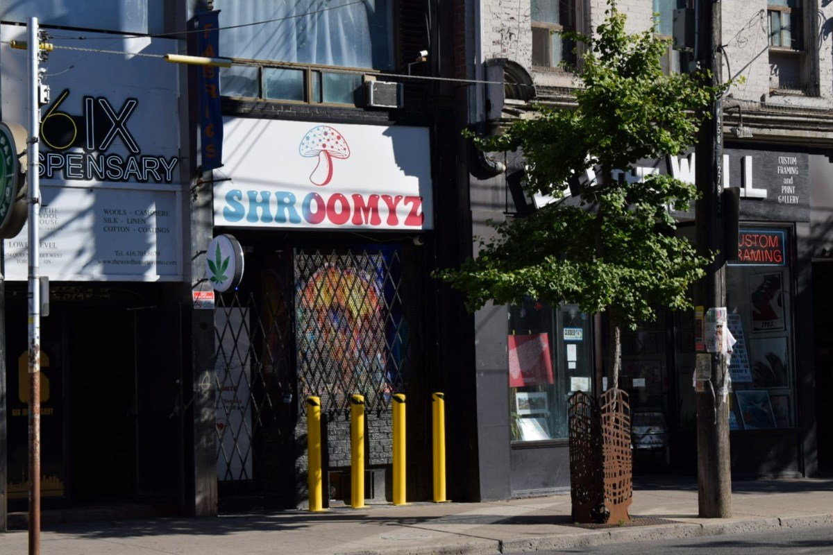 Shroomyz Toronto