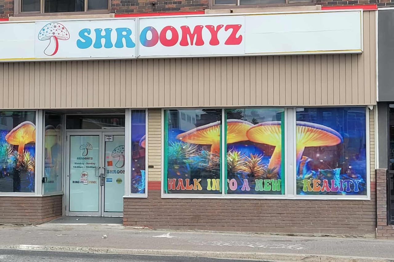 Shroomyz Barrie