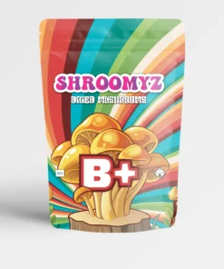 Shroomyz B+ Mushrooms